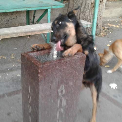 Photo #6950520