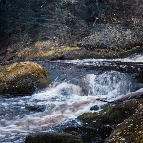 Photo #6950533