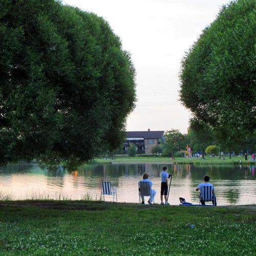 Photo #6950548