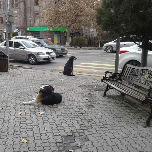 Photo #6950553
