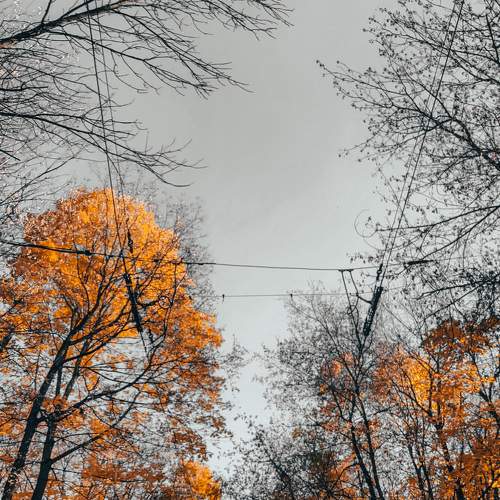 Photo #6950588
