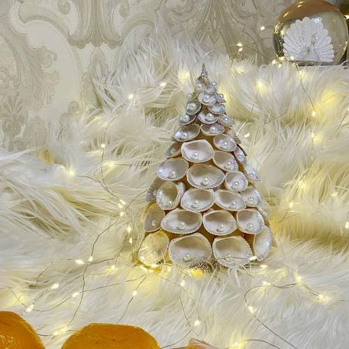 Photo #6950653