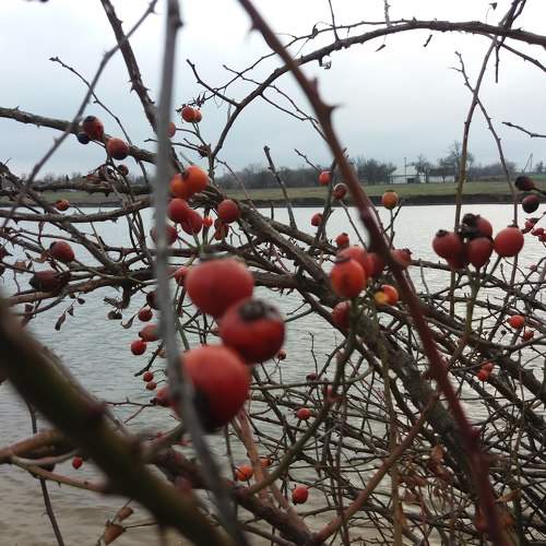 Photo #6950673