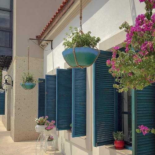 Photo #6950687