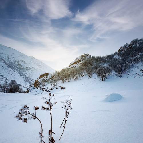 Photo #6950856