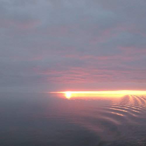 Photo #6951059