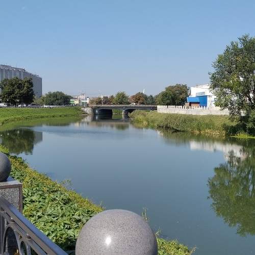 Photo #6951180