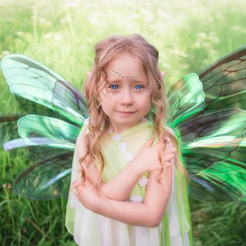 Photo #6951230