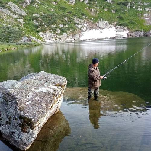 Photo #6951241