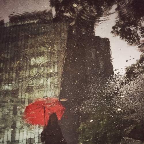 Photo #6951263