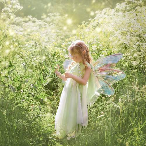 Photo #6951296