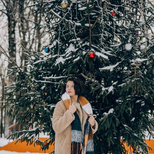Photo #6951488