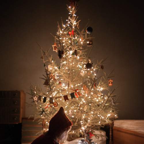 Photo #6951738