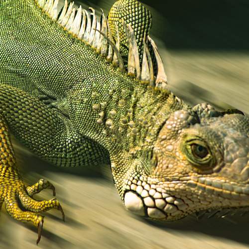 Photo #6951740