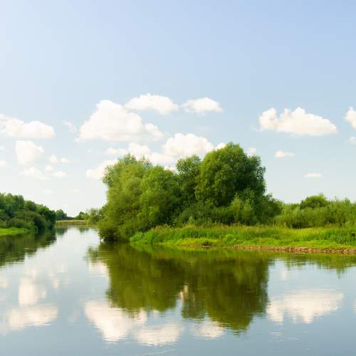 Photo #6951869