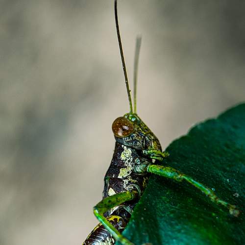Photo #6951917