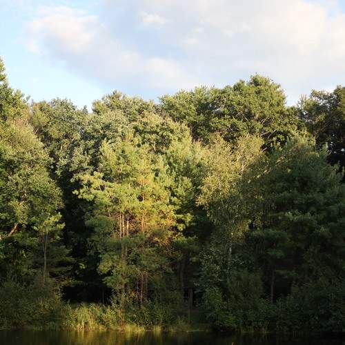 Photo #6952230