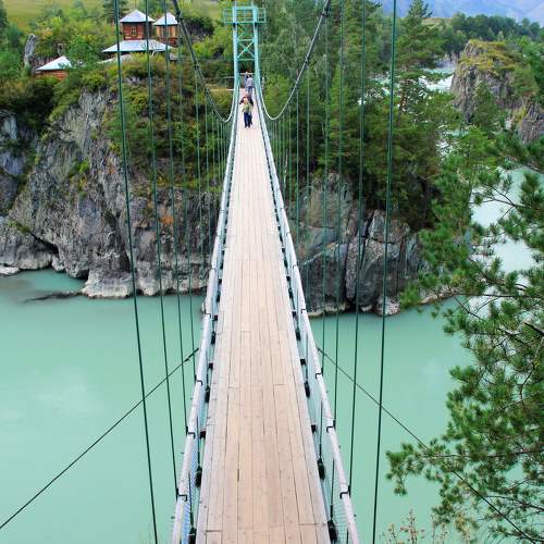 Photo #6952242
