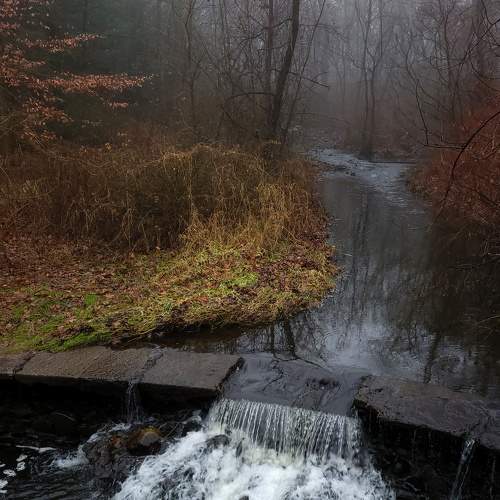 Photo #6952531
