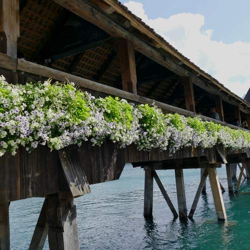 Bridge at Luzern