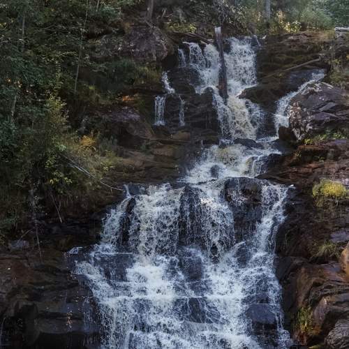 Photo #6953043