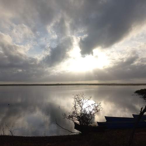 Photo #6953291