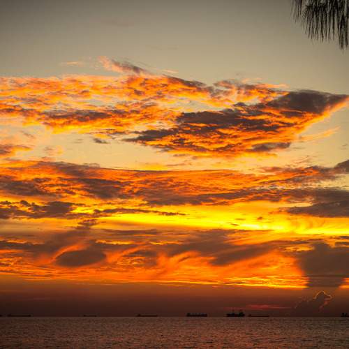 Photo #6953507
