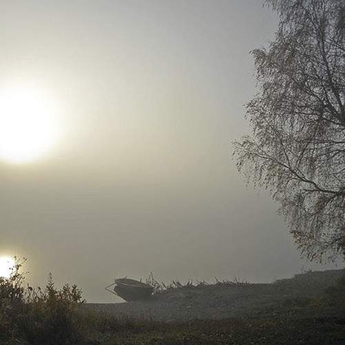 Photo #6953544