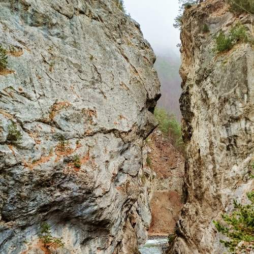 Photo #6953796