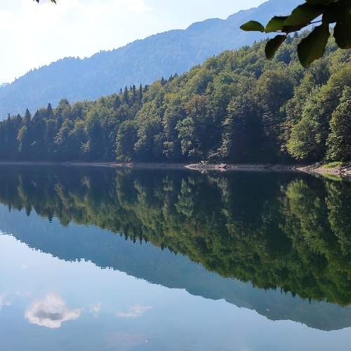 Photo #6954003