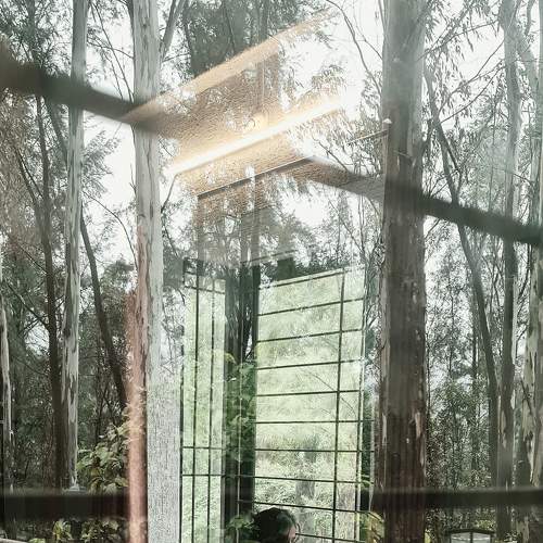 Photo #6954010