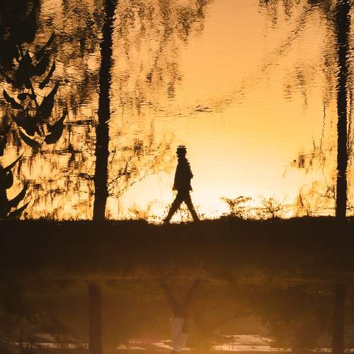 Photo #6954027