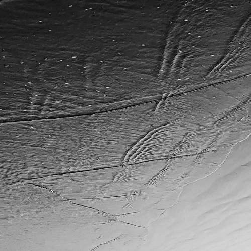 Photo #6954043