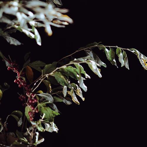 Photo #6954185