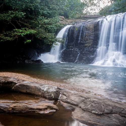 Photo #6954245