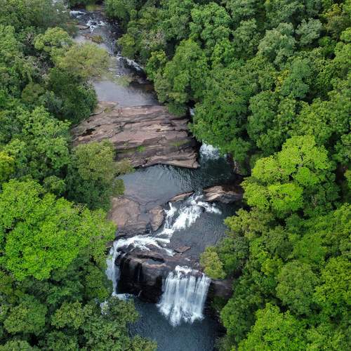 Photo #6954276