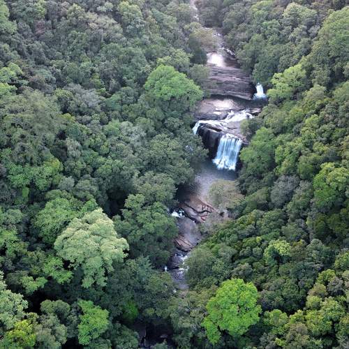 Photo #6954296