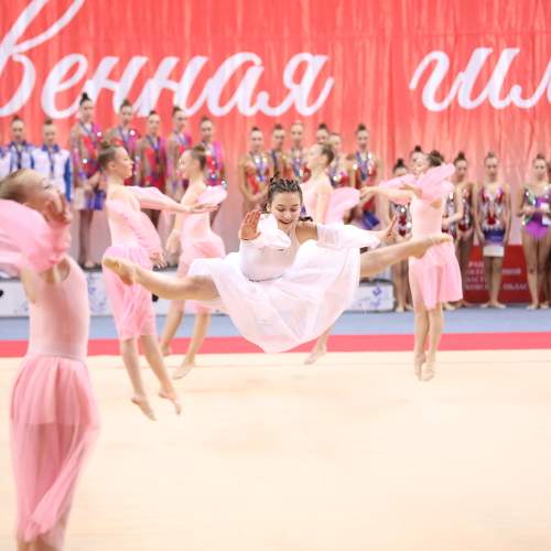 Photo #6954439