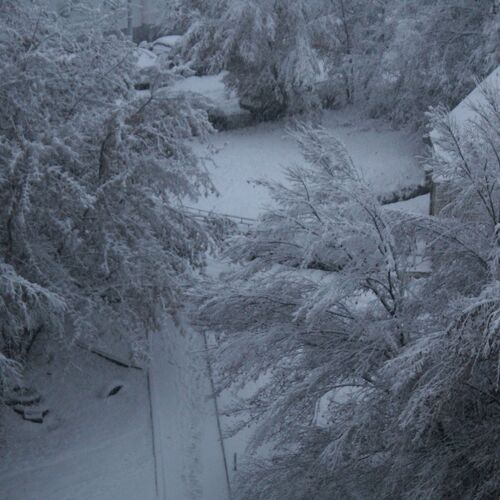 Photo #6954440