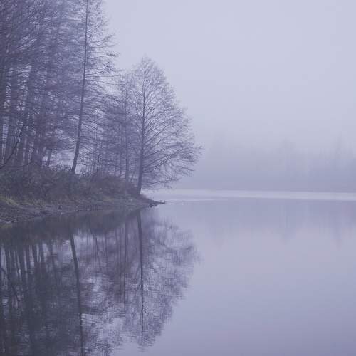 Photo #6954839