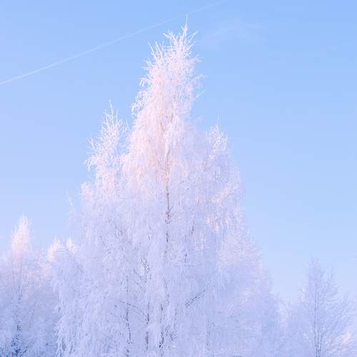 Photo #6954871