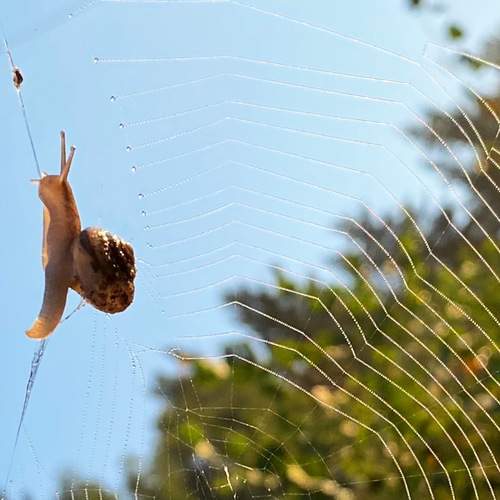 Photo #6955908