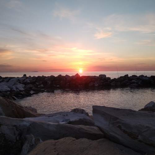 Photo #6956108