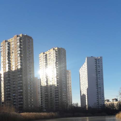 Photo #6956255