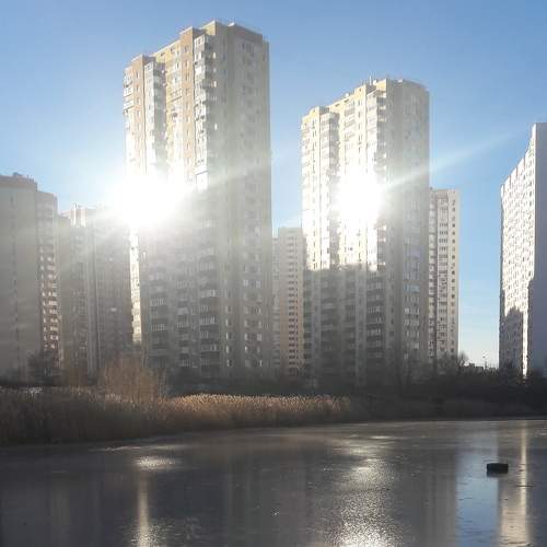 Photo #6956260