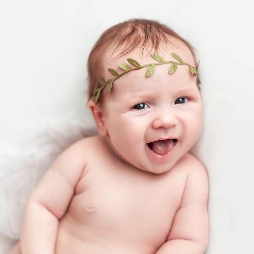 Photo #6956422