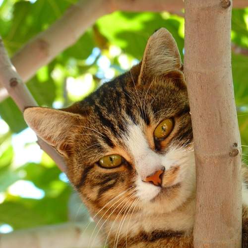 Photo #6956531