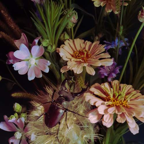 Photo #6956793