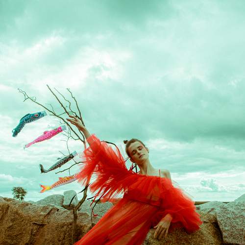 Photo #6956883