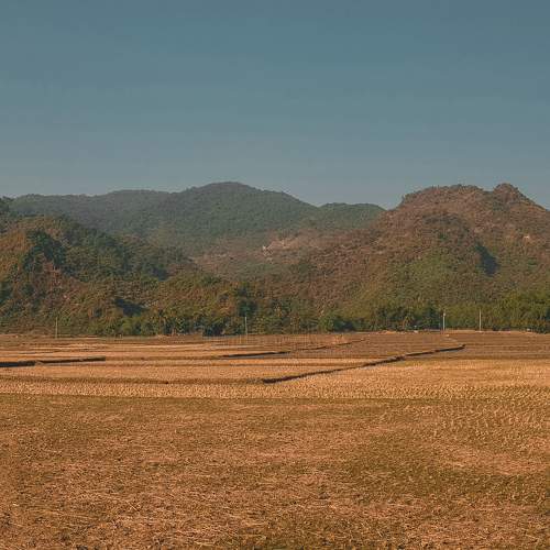 Photo #6956977